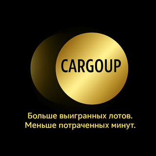 CARGOUP - Больше выигранных лотов